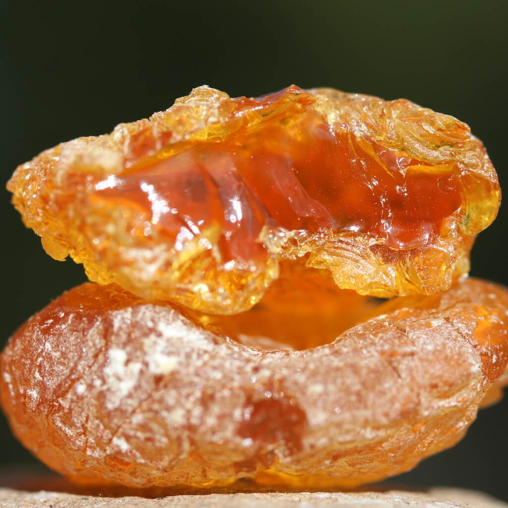 Spotlight on an Indigenous African Ingredient: Namibian Myrrh
